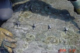 Kilar i berg